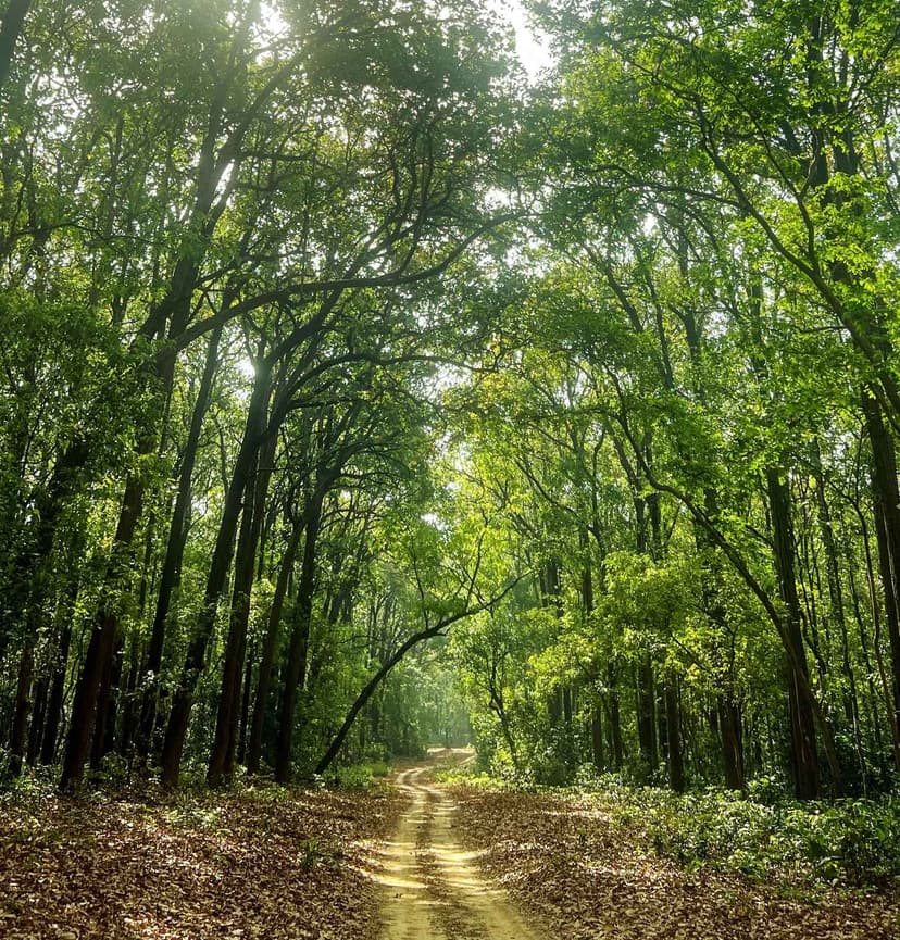 Jim Corbett